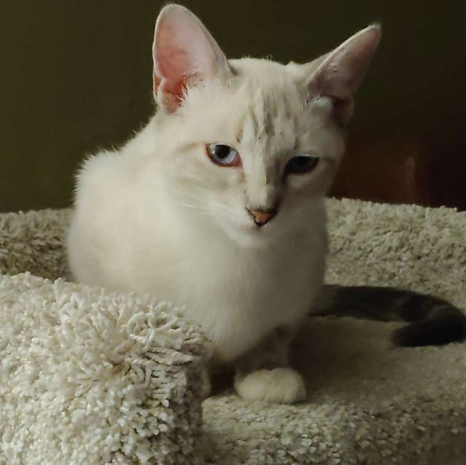 Baby Image