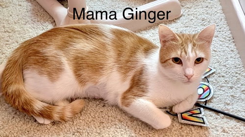 Mama Ginger