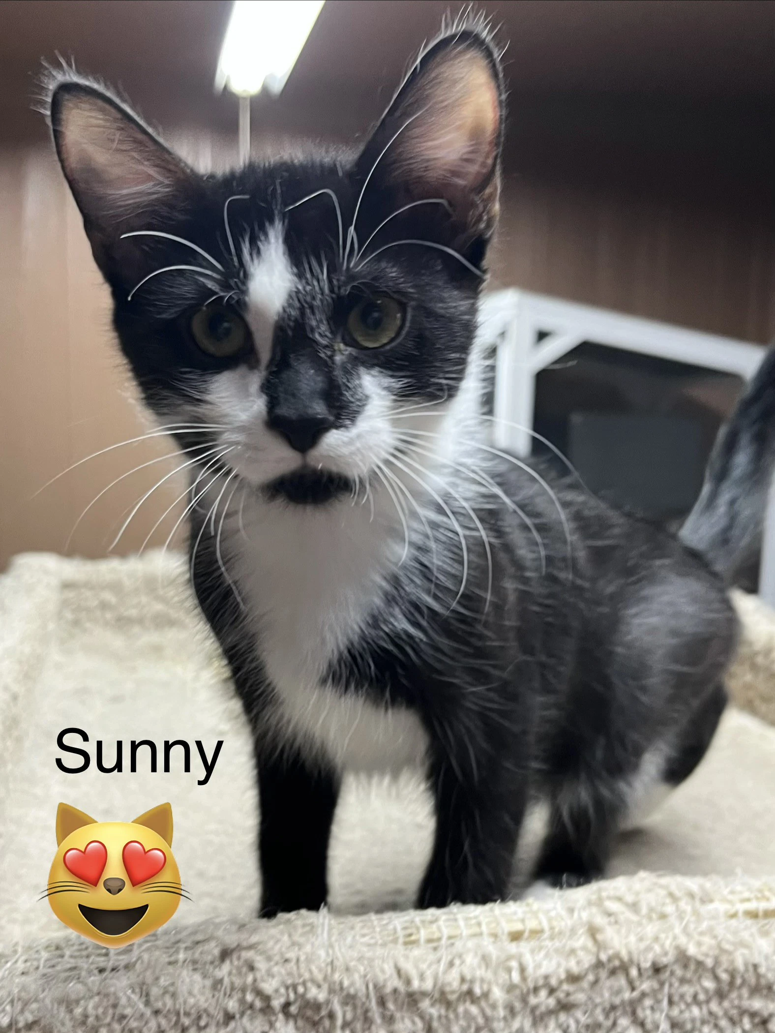 Sonny