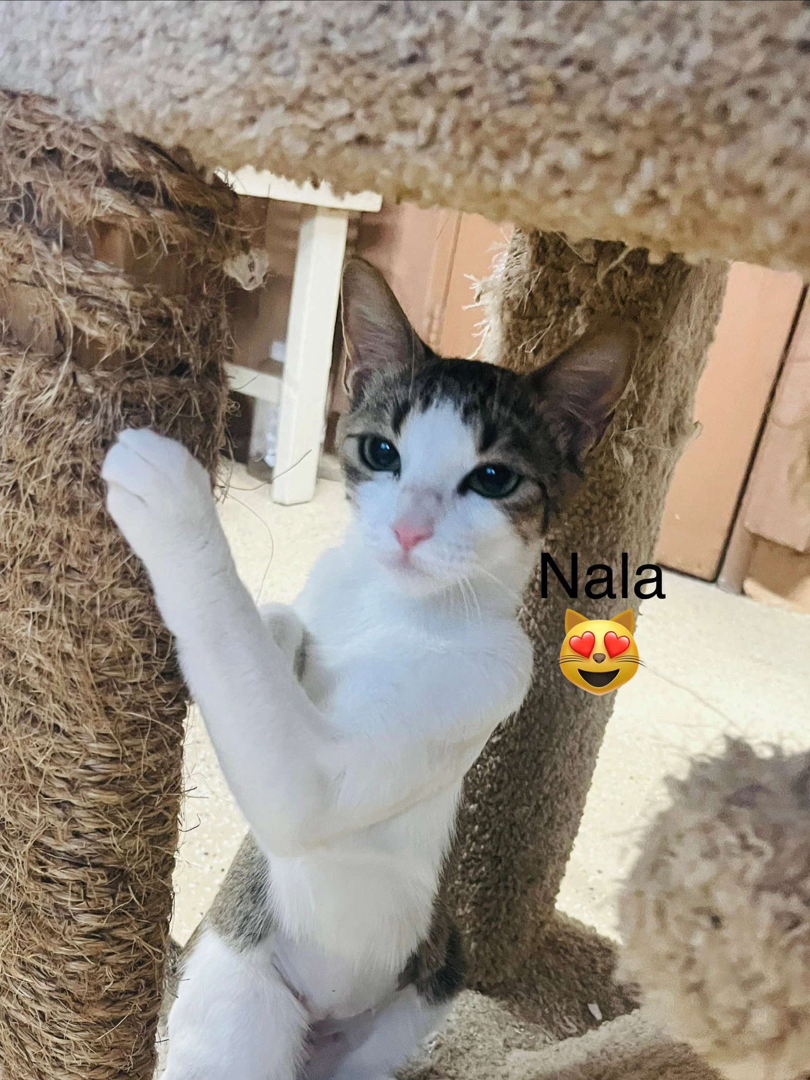 Nala
