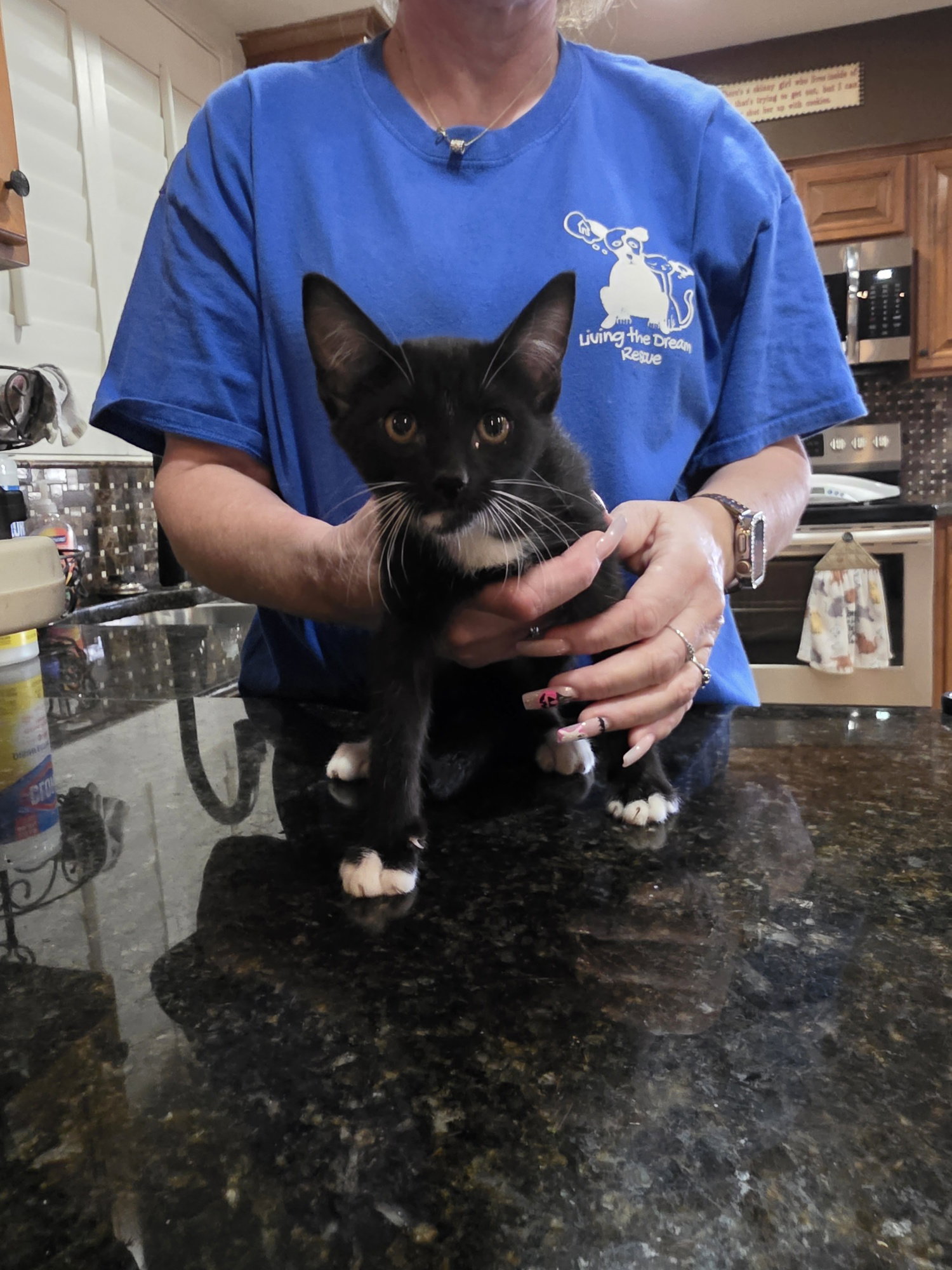 Rook
