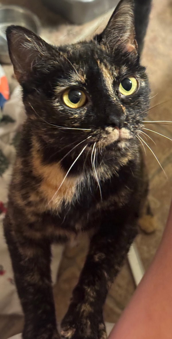 Luna