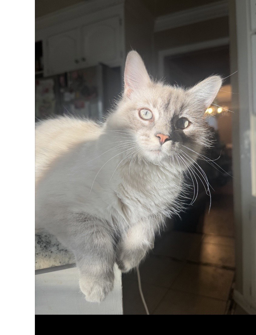Lydia