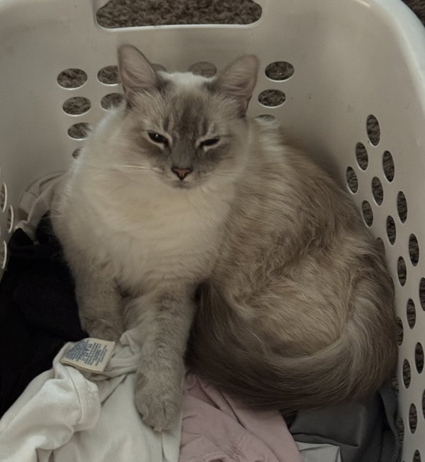 Lydia