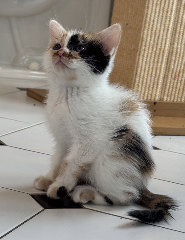 Luna