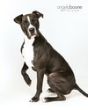 Champ - Photo 3