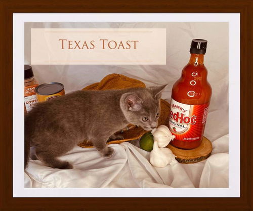 Texas Toast