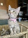 Kenzie~MEET ME AT BLOOMINGTON  PETCO ~