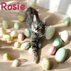 adoptable Cat in minneapolis, MN named Rosie