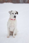 Emma - Photo 4