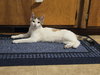 Olivia - Photo 2