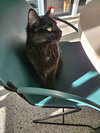 Indie - Photo 1
