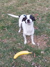 Geenie - Photo 4