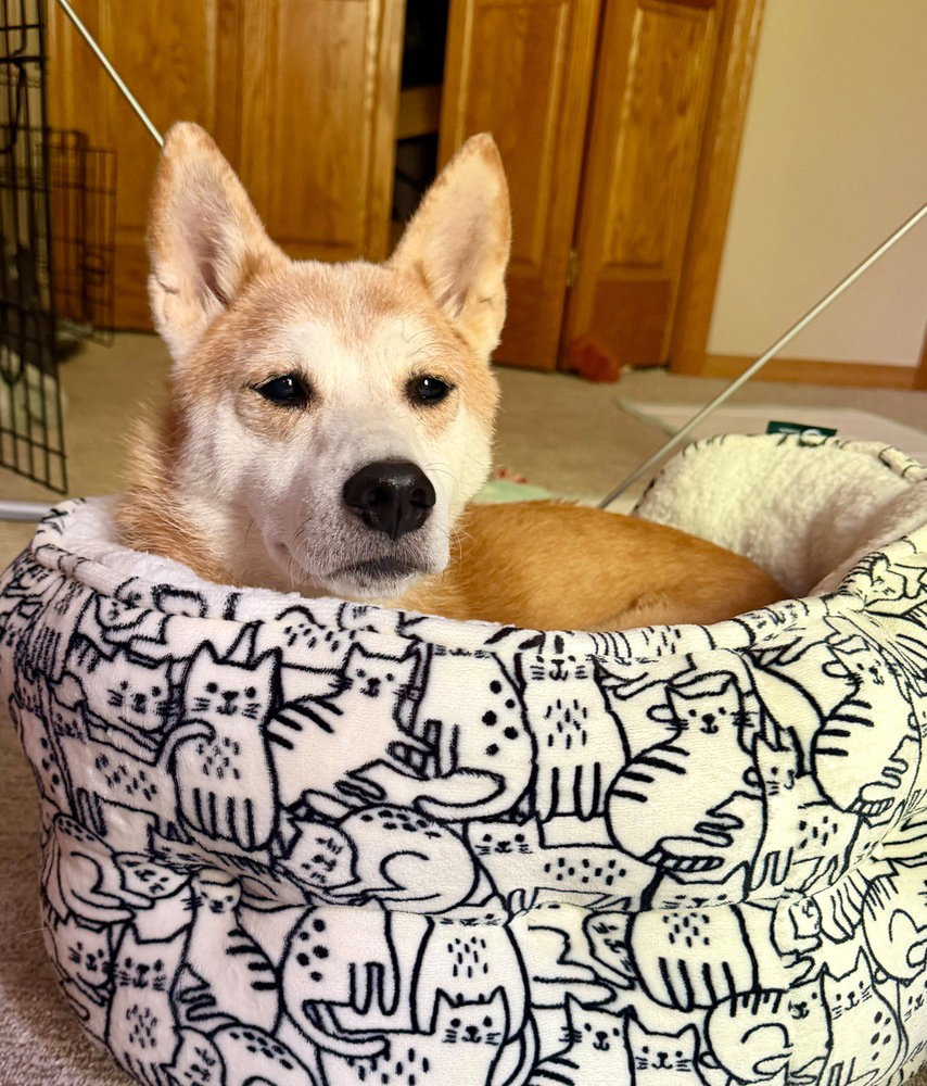 Sammy