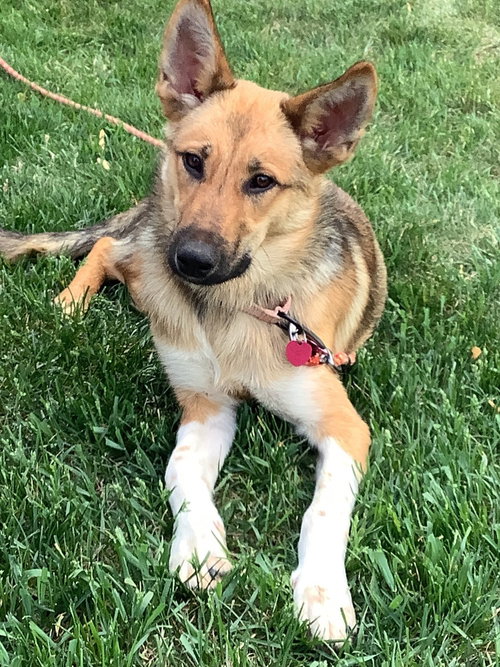 Kiko