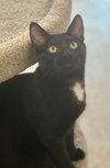 Kilo - Photo 4