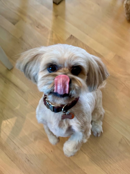 Winston