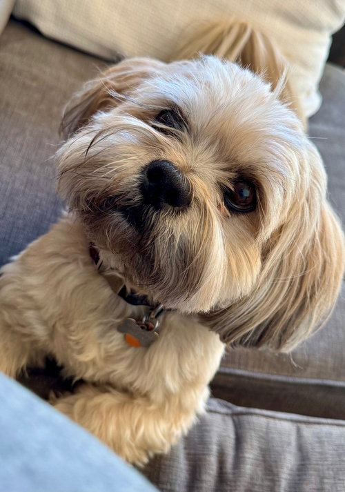 Winston photo 3