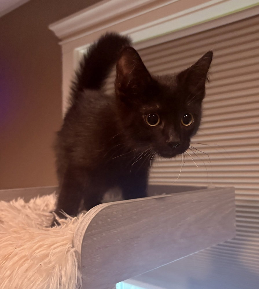 Ellie Jane, photo 4