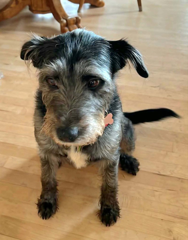 Millie
