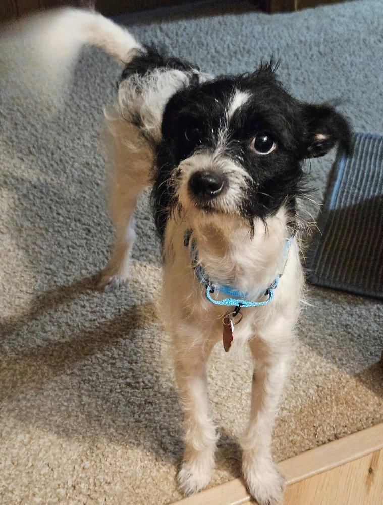 Jack