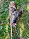 Lilly - Photo 4