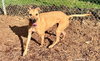 Darcy - Photo 2