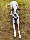 Marty - Photo 3