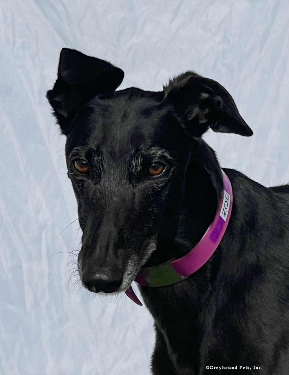 Zoe