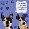 adoptable Dog in Hesperia, CA named MYSTIQUE