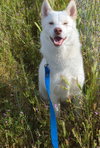 BOLT (IN FOSTER) - Photo 1