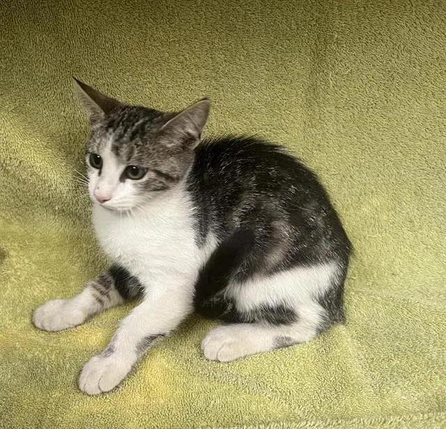 Mia image 1