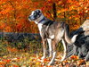 *RADAR - Photo 1