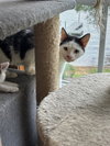Clarabell - Photo 2