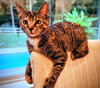 Eris - Photo 2