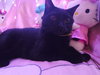 Precious - Photo 1