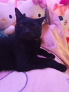 Precious - Photo 2