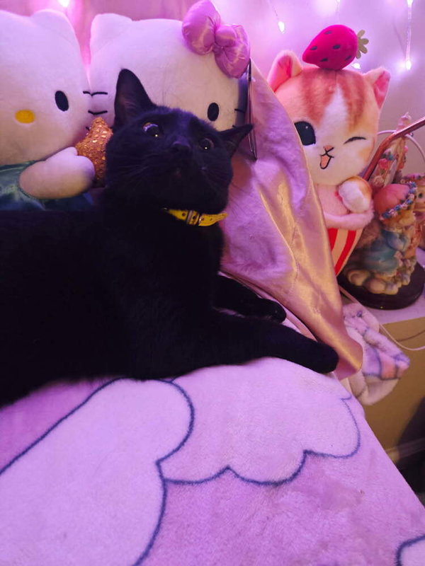 Precious