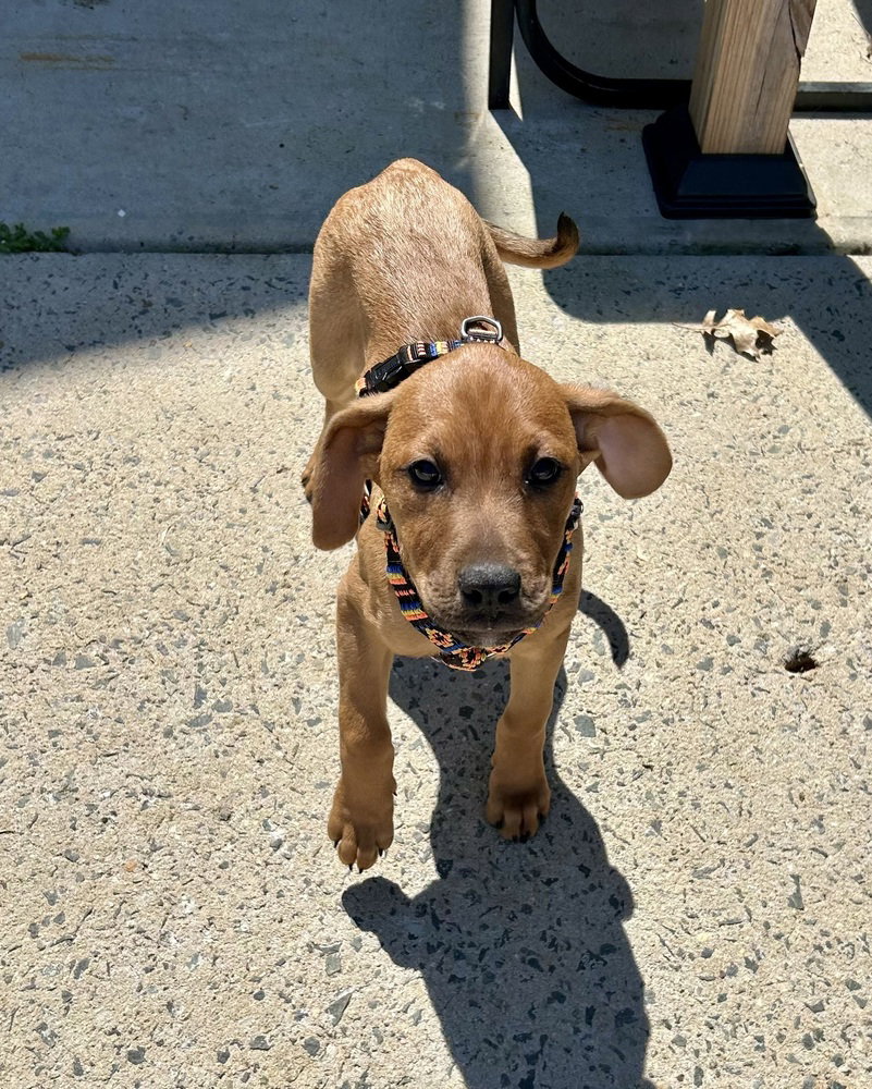 Ellie