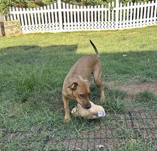 Ellie