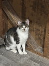 Stash - Photo 1