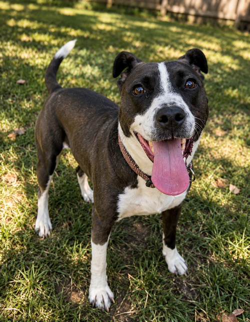Sadie photo 3