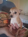 Mitzi - Photo 3