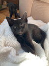 Jenny - Photo 2
