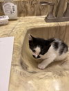 Groucho - Photo 1