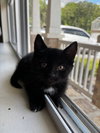 Winnie - Photo 1