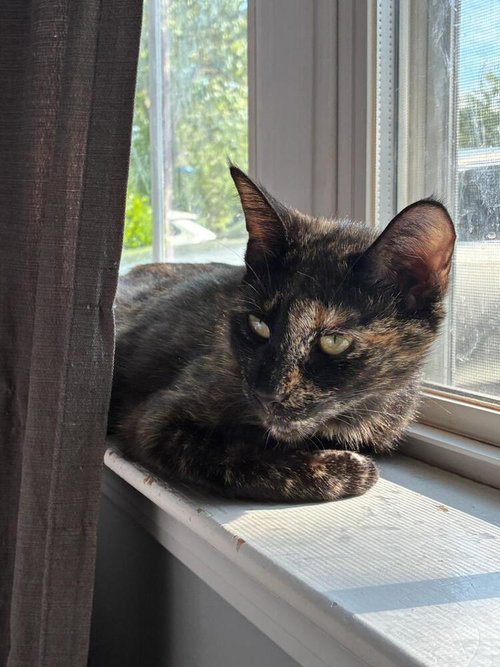 Photo 4 of Cleo