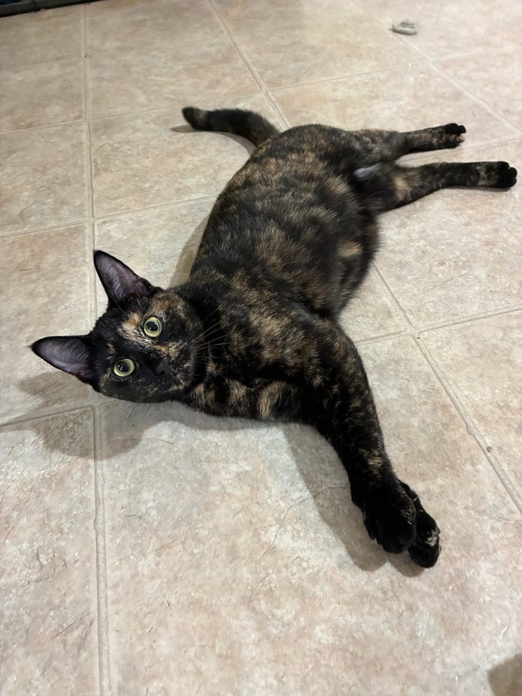 Cleo