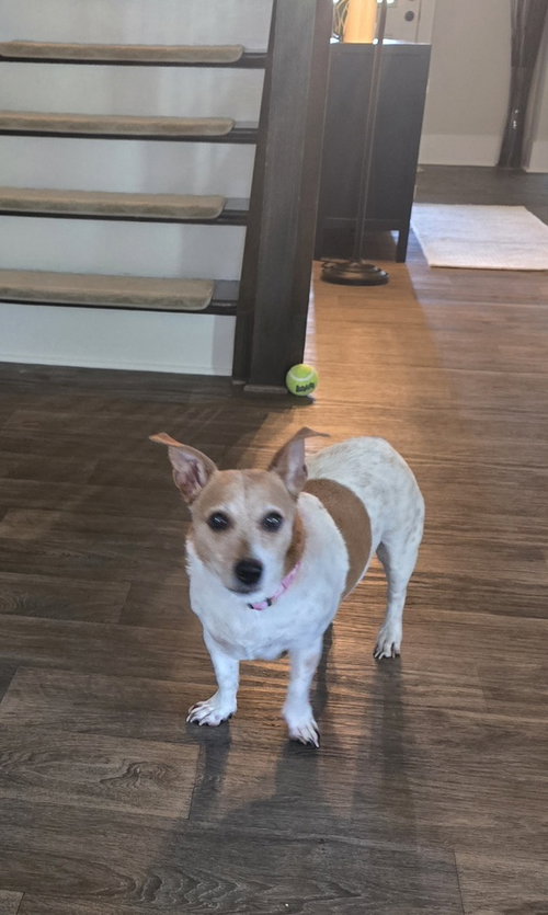 Winnie