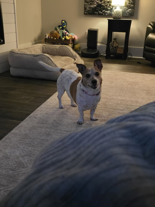 Winnie photo 2